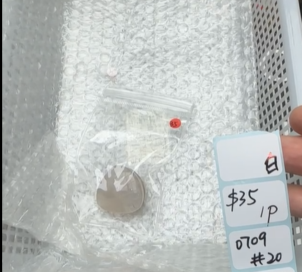 KIKICRYSTAL Shop Claim Sale For 0709
