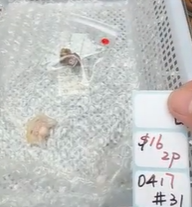 KIKICRYSTAL Shop Claim Sale For 0417