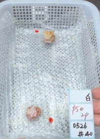 KIKICRYSTAL Shop Claim Sale For 0526