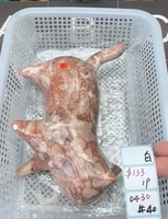 KIKICRYSTAL Shop Claim Sale For 0430
