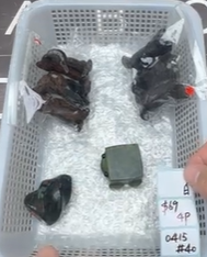 KIKICRYSTAL Shop Claim Sale For 0415