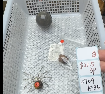 KIKICRYSTAL Shop Claim Sale For 0709