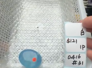 KIKICRYSTAL Shop Claim Sale For 0416