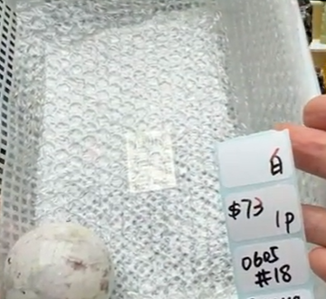 KIKICRYSTAL Shop Claim Sale For 0605