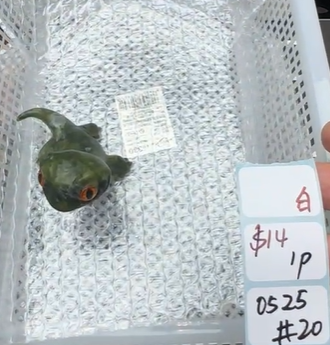 KIKICRYSTAL Shop Claim Sale For 0525