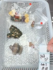 KIKICRYSTAL Shop Claim Sale For 0417