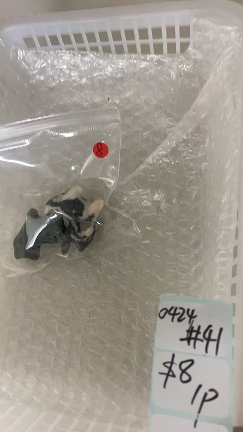 KIKICRYSTAL Shop Claim Sale For 0424