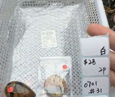KIKICRYSTAL Shop Claim Sale For 0701