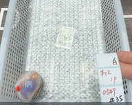 KIKICRYSTAL Shop Claim Sale For 0509