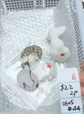 KIKICRYSTAL Shop Claim Sale For 0605