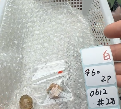 KIKICRYSTAL Shop Claim Sale For 0612