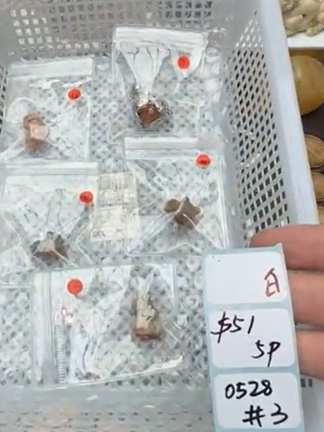 KIKICRYSTAL Shop Claim Sale For 0528