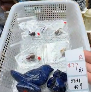 KIKICRYSTAL Shop Claim Sale For 0831