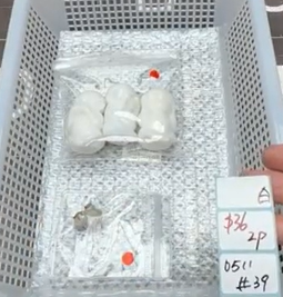 KIKICRYSTAL Shop Claim Sale For 0511