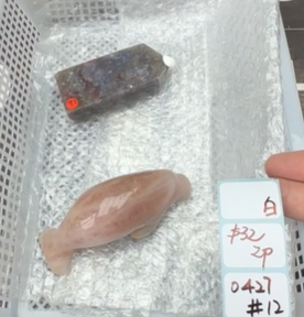 KIKICRYSTAL Shop Claim Sale For 0427