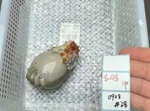 KIKICRYSTAL Shop Claim Sale For 0908