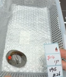 KIKICRYSTAL Shop Claim Sale For 0905