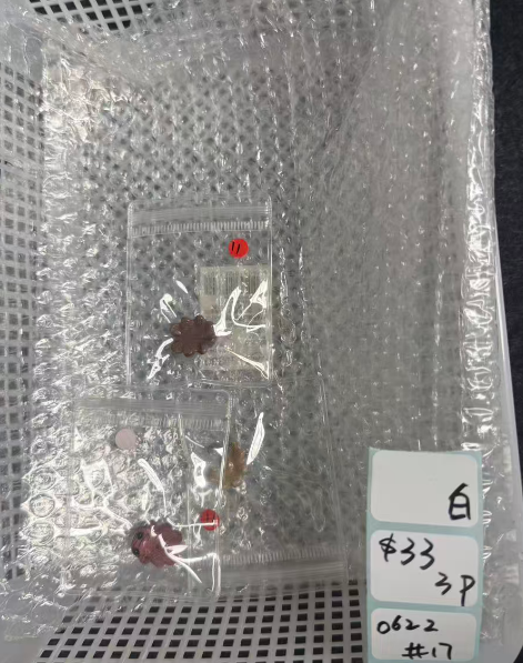 KIKICRYSTAL Shop Claim Sale For 0622