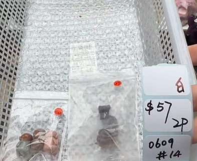 KIKICRYSTAL Shop Claim Sale For 0609