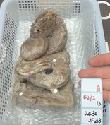 KIKICRYSTAL Shop Claim Sale For 0430