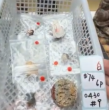 KIKICRYSTAL Shop Claim Sale For 0430