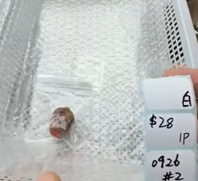 KIKICRYSTAL Shop Claim Sale For 0926