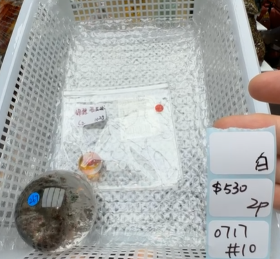 KIKICRYSTAL Shop Claim Sale For 0717
