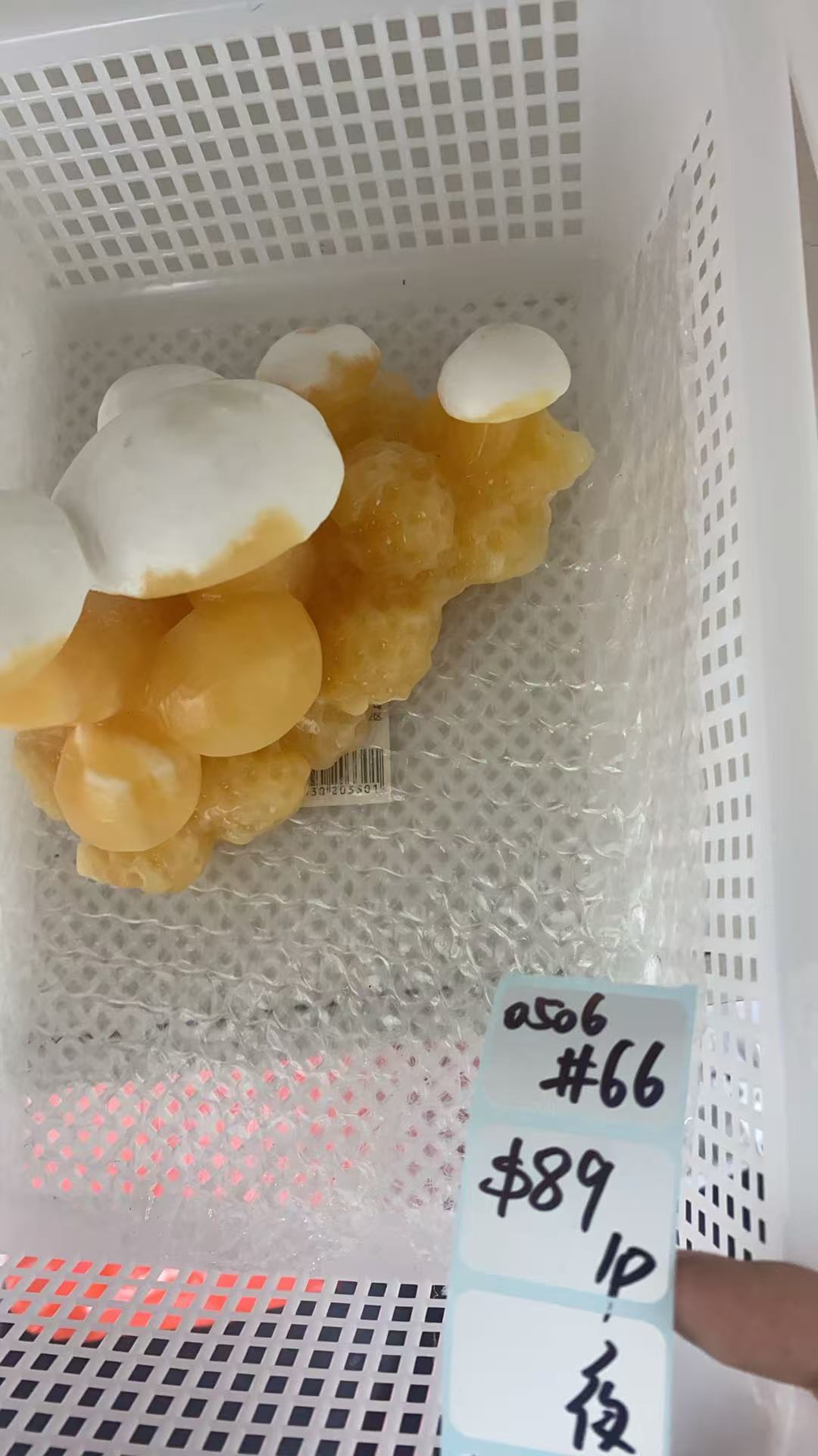 KIKICRYSTAL Shop Claim Sale For 0506