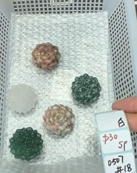 KIKICRYSTAL Shop Claim Sale For 0507