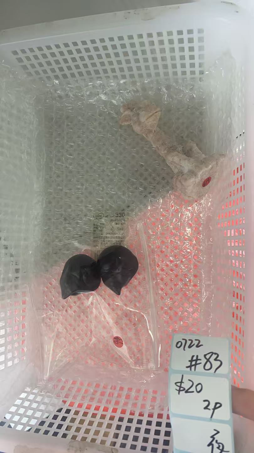 KIKICRYSTAL Shop Claim Sale For 0722