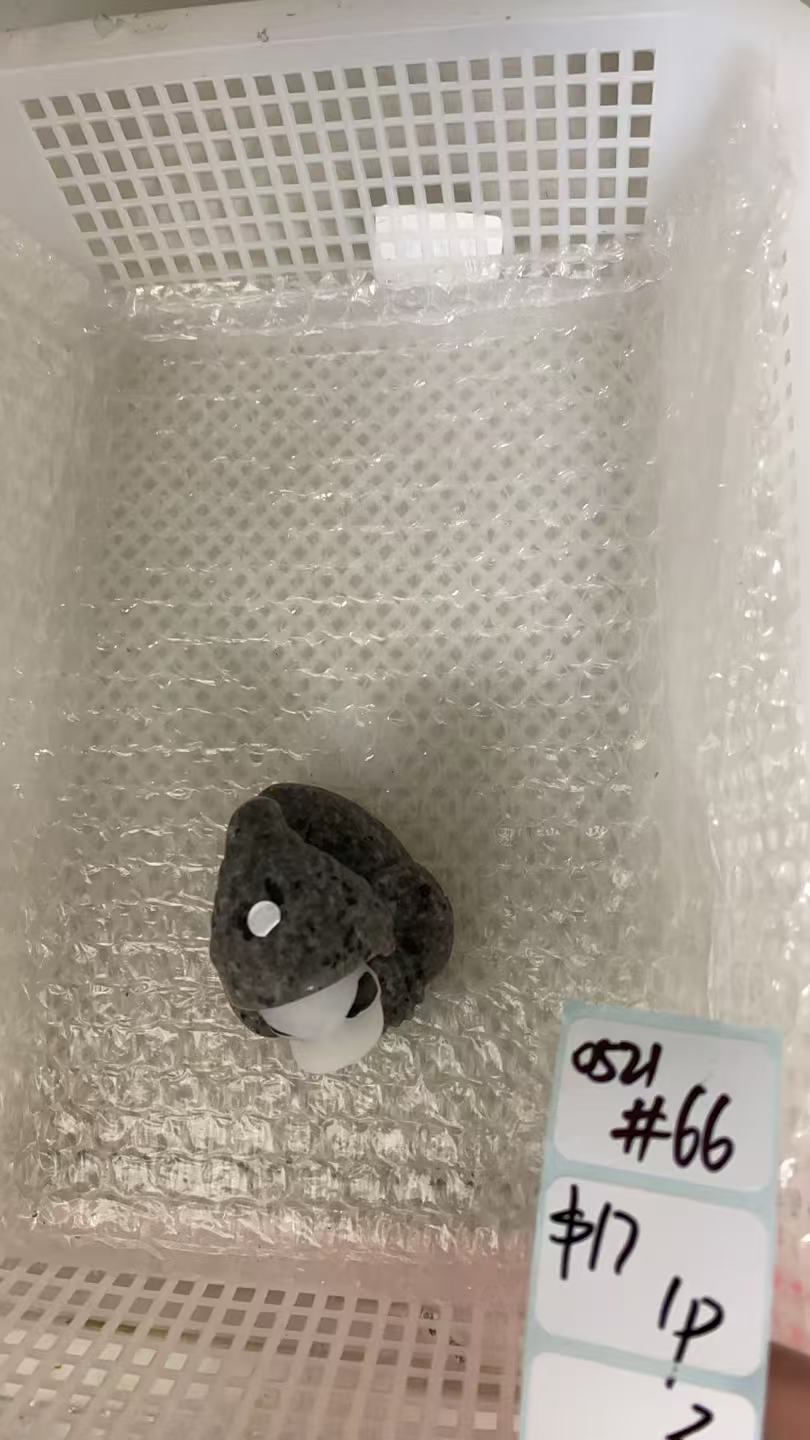 KIKICRYSTAL Shop Claim Sale For 0521