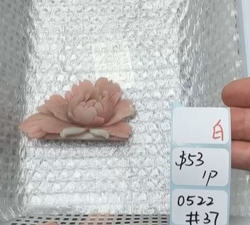 KIKICRYSTAL Shop Claim Sale For 0522