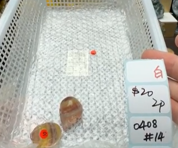 KIKICRYSTAL Shop Claim Sale For 0408