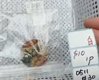 KIKICRYSTAL Shop Claim Sale For 0511
