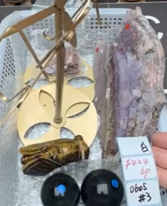 KIKICRYSTAL Shop Claim Sale For 0605
