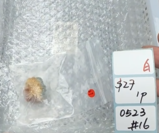 KIKICRYSTAL Shop Claim Sale For 0523