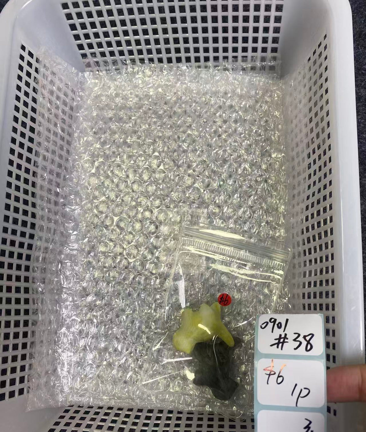 KIKICRYSTAL Shop Claim Sale For 0901