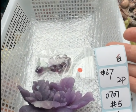 KIKICRYSTAL Shop Claim Sale For 0707