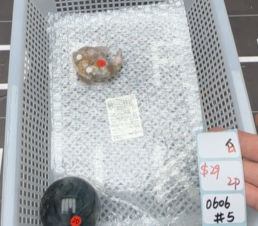 KIKICRYSTAL Shop Claim Sale For 0606