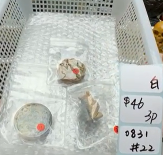 KIKICRYSTAL Shop Claim Sale For 0831