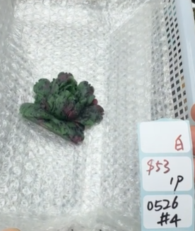 KIKICRYSTAL Shop Claim Sale For 0526