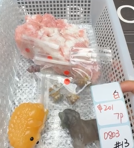 KIKICRYSTAL Shop Claim Sale For 0803