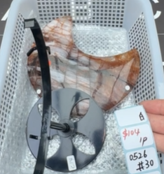 KIKICRYSTAL Shop Claim Sale For 0526