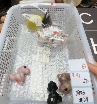 KIKICRYSTAL Shop Claim Sale For 0803