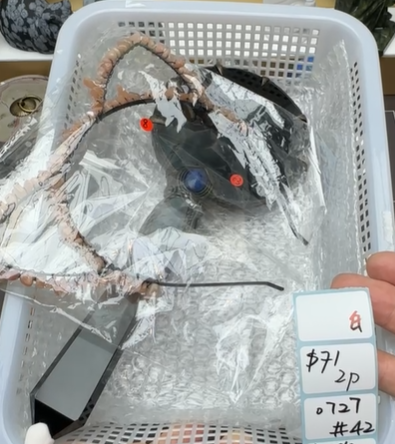 KIKICRYSTAL Shop Claim Sale For 0727