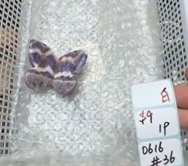 KIKICRYSTAL Shop Claim Sale For 0616