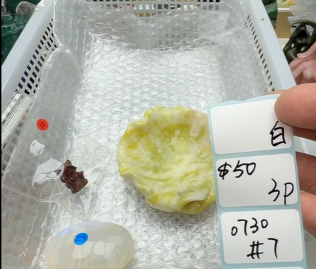 KIKICRYSTAL Shop Claim Sale For 0730