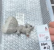 KIKICRYSTAL Shop Claim Sale For 0601