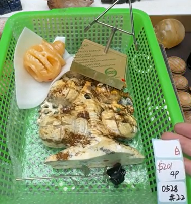 KIKICRYSTAL Shop Claim Sale For 0528