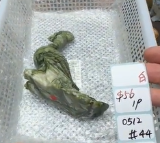KIKICRYSTAL Shop Claim Sale For 0512